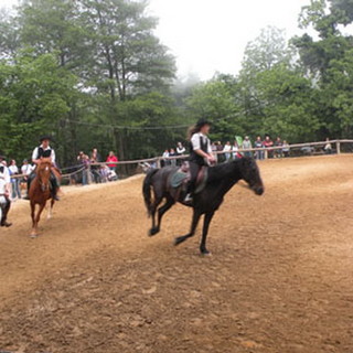 Sanremo: ok al bando per il servizio di gestione del maneggio a San Romolo, pur con i dubbi sull'esito