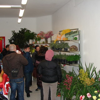 Ospedaletti: a marzo arriva Floranga, concorso di qualità dedicato alle eccellenze floricole locali