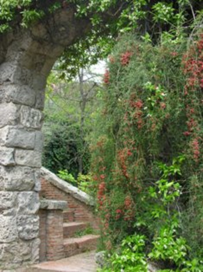 Ventimiglia: domenica 9, vendita delle piante in eccedenza prodotte dal vivaio dei Giardini Hanbury Ventimiglia: domenica 9, vendita delle piante in eccedenza prodotte dal vivaio dei Giardini Hanbury