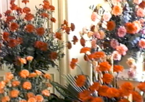 Sanremo 1986: la prima mostra del fiore "FLORANGA" Sanremo 1986: la prima mostra del fiore "FLORANGA"