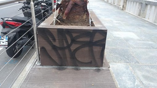 Diano Marina: a restyling appena completato, già imbrattato uno dei vasi della passeggiata. Za Garibaldi: "Mentecatti, loro distruggono e noi ricostruiremo vedremo chi vincerà” Diano Marina: a restyling appena completato, già imbrattato uno dei vasi della passeggiata. Za Garibaldi: "Mentecatti, loro distruggono e noi ricostruiremo vedremo chi vincerà”