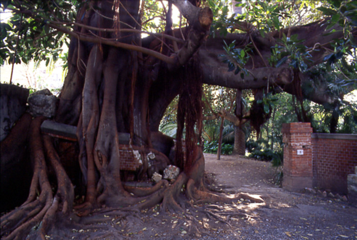 Bordighera: oggi riprese Rai insieme a Dario Vergassola davanti al Museo Bicknell