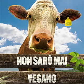 CINEMA: orari, trame e stellette dei film in programmazione oggi, martedì 20 maggio 2025 CINEMA: orari, trame e stellette dei film in programmazione oggi, martedì 20 maggio 2025