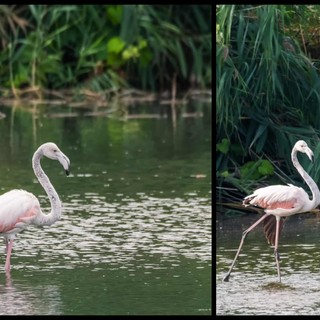 Foto di Fabio Caminiti Foto di Fabio Caminiti