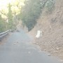 SìAmo Camporosso: "La frana sulla strada per Trinità, Balloi e Brunetti continua ad avanzare. Serve intervento urgente" (Foto) SìAmo Camporosso: "La frana sulla strada per Trinità, Balloi e Brunetti continua ad avanzare. Serve intervento urgente" (Foto)
