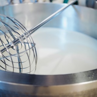 Formaggio Cagliata: tutto quello che c'è da sapere su questa materia prima unica per la produzione di altri formaggi