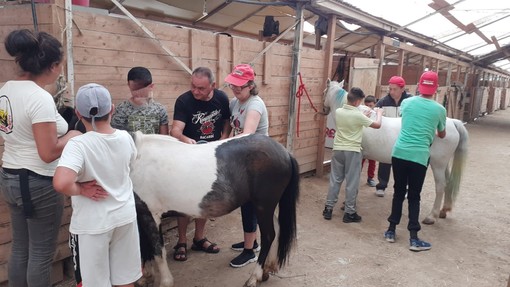 Camporosso: integrazione alla fattoria didattica, il progetto per i bimbi curato da Comune e Spes