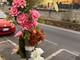 Incidente mortale di via Airenti a Imperia, per l’investimento di Halina Gizeweter ci sarebbero due testimoni