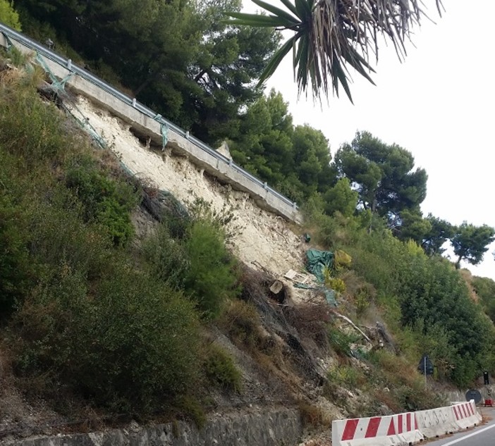 Grimaldi, massi pericolanti lungo la strada, l'allarme del comitato: "Aspettiamo che ci scappi il morto?"