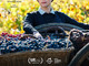 CINEMA: orari, trame e stellette dei film in programmazione oggi, lunedì 14 ottobre CINEMA: orari, trame e stellette dei film in programmazione oggi, lunedì 14 ottobre