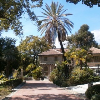 Sanremo: sabato prossimo al 'Floriseum' il 4° seminario su ‘Piante mediterranee: tra scienza e tradizione'