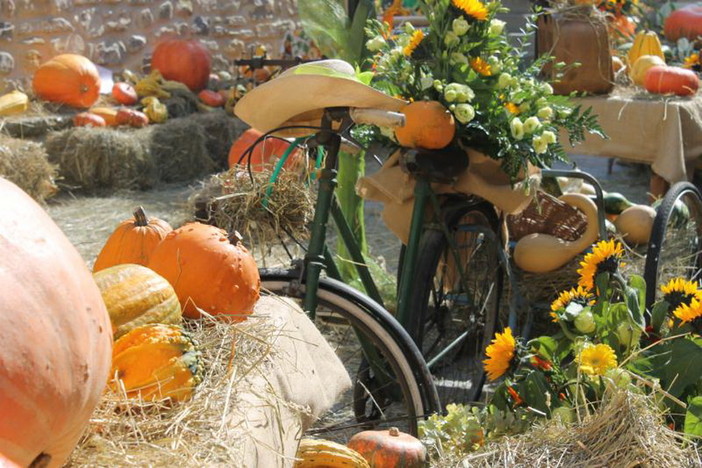 Domenica prossima nel centro storico di Vallecrosia la 16a edizione della 'Festa della Zucca' Domenica prossima nel centro storico di Vallecrosia la 16a edizione della 'Festa della Zucca'