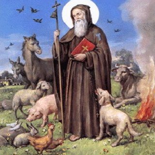 Ventimiglia: domenica al convento delle suore dell'orto la festa degli animali