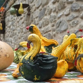 Vallecrosia: le più belle foto della 'Festa della Zucca 2013' di quest'oggi