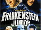 Sanremo: Frankenstein Junior torna al cinema in versione restaurata, dal 27 febbraio al 1° marzo al Roof 1