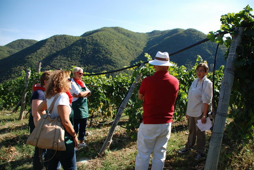 Regione: Turismo, e in Liguria la vendemmia diventa motivo di vacanza Regione: Turismo, e in Liguria la vendemmia diventa motivo di vacanza