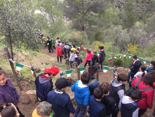 Ventimiglia: grande partecipazione alla tradizionale Festa degli Alberi Ventimiglia: grande partecipazione alla tradizionale Festa degli Alberi