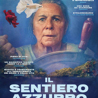 CINEMA: orari, trame e stellette dei film in programmazione oggi, giovedì 19 febbraio 2026