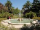 Sanremo: lunedì 20 aprile la cerimonia della 'Festa degli Alberi' presso i Giardini di Villa Ormond