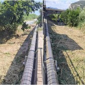 Ventimiglia, vegetazione e rifiuti nel fiume Roya: al via la pulizia (Foto) Ventimiglia, vegetazione e rifiuti nel fiume Roya: al via la pulizia (Foto)