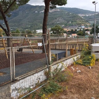 Taggia: sistemazione area dell’ex mercato coperto, Mario Conio "Si è adottata una soluzione indegna!"