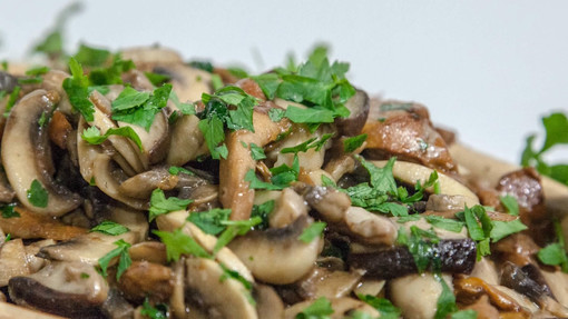 Funghi che passione: il clima favorisce l’annata ligure, ma serve il tesserino e rispettare sempre i regolamenti comunali