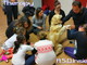 Sanremo: alla Asd Insieme in partenza il corso formativo per la qualifica di operatore di Pet Therapy Sanremo: alla Asd Insieme in partenza il corso formativo per la qualifica di operatore di Pet Therapy