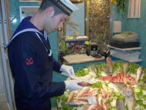 Imperia: controlli della filiera ittica, attivato un numero di telefono ad hoc per i consumatori