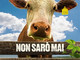 CINEMA: orari, trame e stellette dei film in programmazione oggi, martedì 20 maggio 2025 CINEMA: orari, trame e stellette dei film in programmazione oggi, martedì 20 maggio 2025