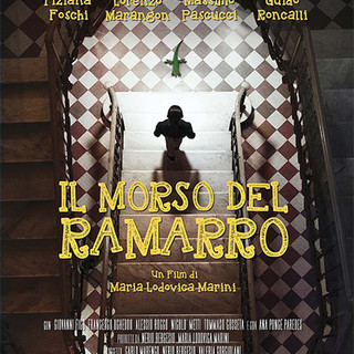 CINEMA: orari, trame e stellette dei film in programmazione oggi, mercoledì 23 novembre 2022