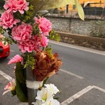 Incidente mortale di via Airenti a Imperia, per l’investimento di Halina Gizeweter ci sarebbero due testimoni Incidente mortale di via Airenti a Imperia, per l’investimento di Halina Gizeweter ci sarebbero due testimoni