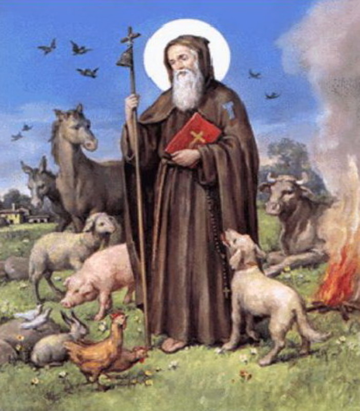 Ventimiglia: domenica al convento delle suore dell'orto la festa degli animali