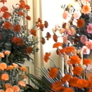 Sanremo 1986: la prima mostra del fiore "FLORANGA"