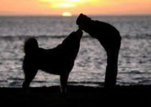 Sanremo: domenica prossima, festa di fine estate dell'Enpa dedicata ai nostri amici a quattro zampre