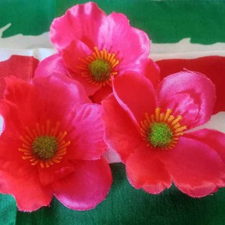 “Il fiore del partigiano” a Coldirodi: protagonisti gli studenti per custodire la memoria