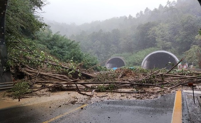 Maltempo: frana sulla A26, chiuso il tratto tra Masone e Ovada in direzione Gravellona Toce Maltempo: frana sulla A26, chiuso il tratto tra Masone e Ovada in direzione Gravellona Toce