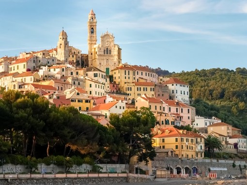 Cervo. Fotografia apparsa sul quotidiano Guardian