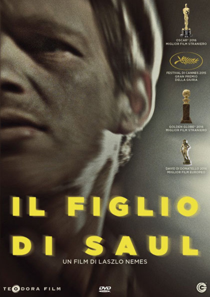 CINEMA: orari, trame e stellette dei film in programmazione oggi, lunedì 23 gennaio CINEMA: orari, trame e stellette dei film in programmazione oggi, lunedì 23 gennaio