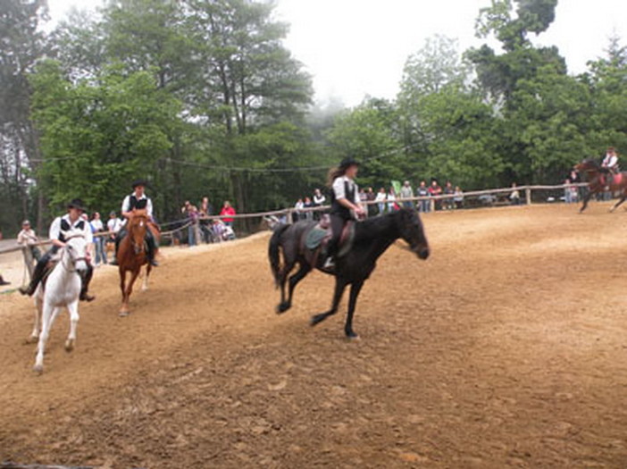 Sanremo: ok al bando per il servizio di gestione del maneggio a San Romolo, pur con i dubbi sull'esito