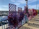 “Sanremo in fiore, omaggio a Italo Calvino”: sul porto vecchio allestita la composizione della Confartigianato (Foto)