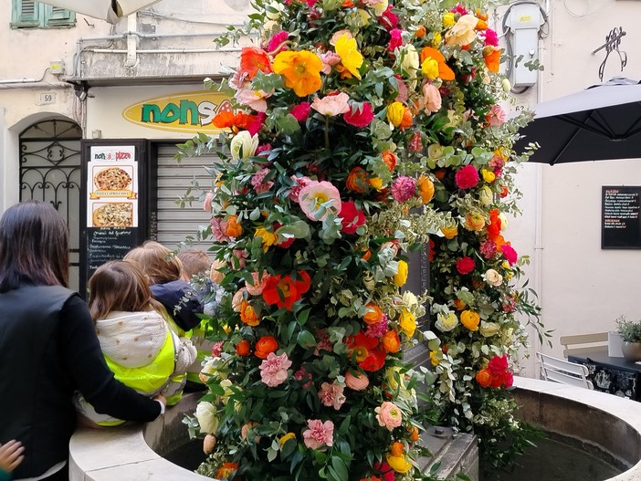 Sanremo in Fiore, il Giardino esotico di Pian di Nave incanta tra biodiversità e scenari botanici unici Sanremo in Fiore, il Giardino esotico di Pian di Nave incanta tra biodiversità e scenari botanici unici
