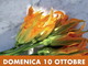 Vallecrosia: domenica la 12esima 'Festa della Zucca' nella città alta Vallecrosia: domenica la 12esima 'Festa della Zucca' nella città alta