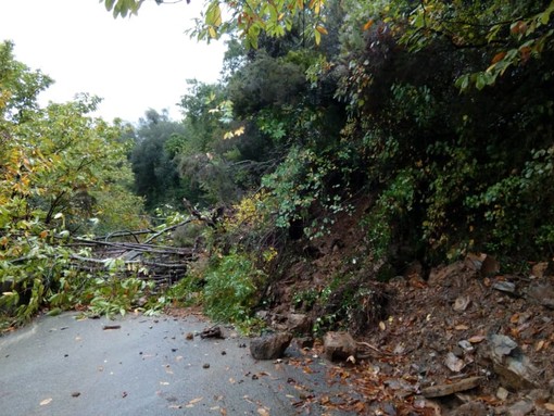 Maltempo: una frana blocca la circolazione sulla provinciale 65 tra Molini di Triora e Langan (foto) Maltempo: una frana blocca la circolazione sulla provinciale 65 tra Molini di Triora e Langan (foto)