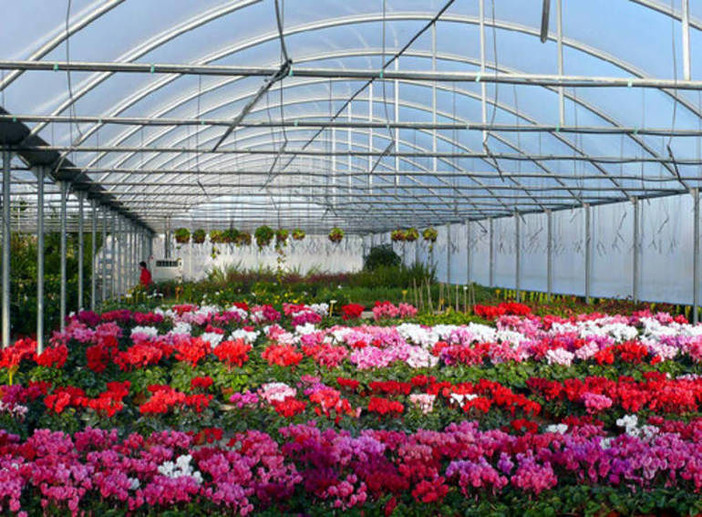 Economia, Confagricoltura Liguria: "Bene sospensione contributo Conai su vasi florovivaismo"