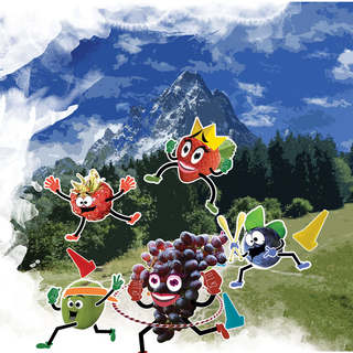 Il Mistero del Grandalbero: dopo la 'ricetta della salute' di domenica scorsa oggi un incontro eNergico