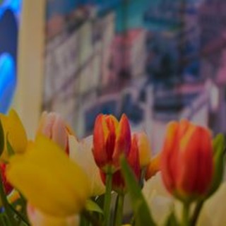 I fiori della Sala Stampa di Sanremo