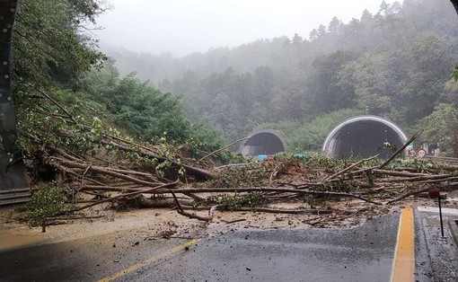 Maltempo: frana sulla A26, chiuso il tratto tra Masone e Ovada in direzione Gravellona Toce Maltempo: frana sulla A26, chiuso il tratto tra Masone e Ovada in direzione Gravellona Toce