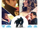 CINEMA: orari, trame e stellette dei film in programmazione oggi, venerdì 31 marzo 2023 CINEMA: orari, trame e stellette dei film in programmazione oggi, venerdì 31 marzo 2023