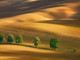 Sanremo: a marzo torna il corso base di fotografia del Fotoclub Riviera dei Fiori Sanremo: a marzo torna il corso base di fotografia del Fotoclub Riviera dei Fiori