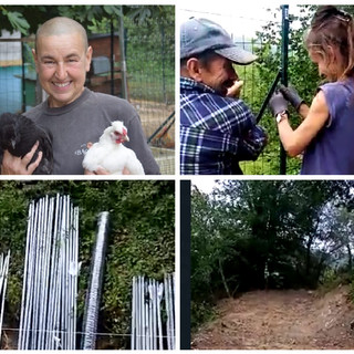 Fattoria di Cinzia Ferrara: proseguono i lavori per l'Arca di Noè, ultimo appello: “Servono reti di protezione per proteggere gli animali dai lupi”